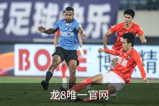 龙8唯一官网 公司简介